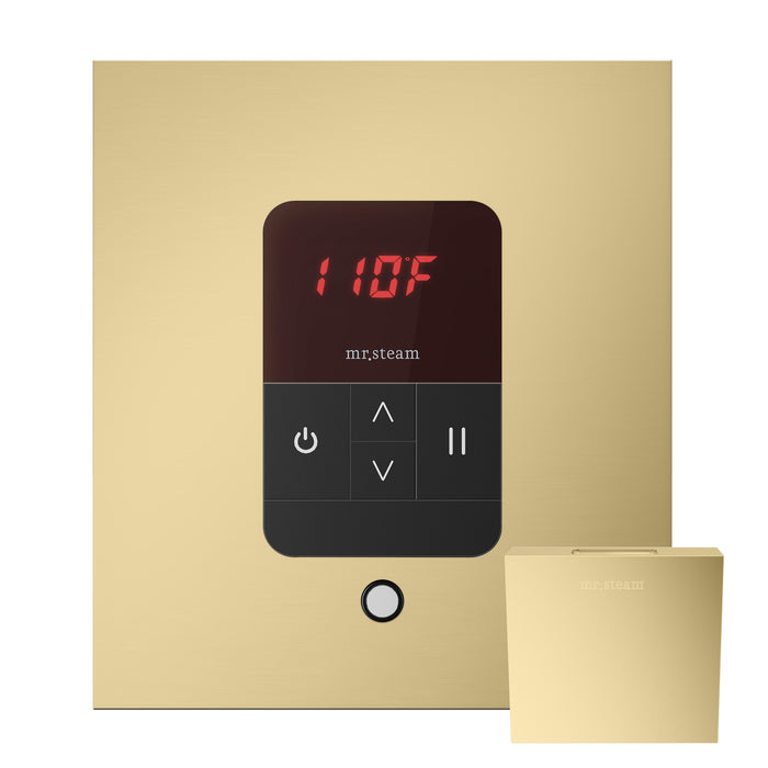 Mr.Steam iTempo Digital Steam Shower Control Package