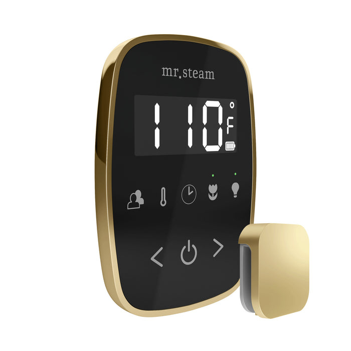 Mr. Steam TempoFlex Steam Shower Control w/ Aroma SteamHead