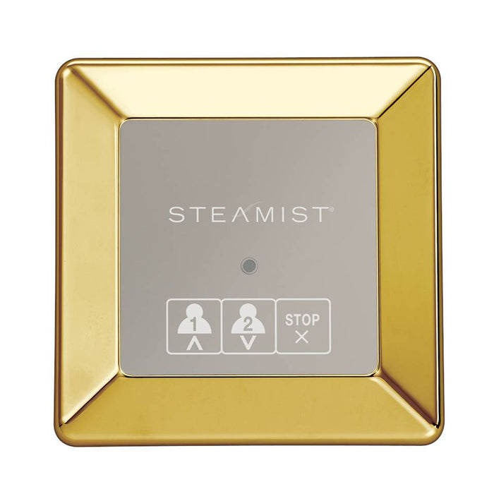 Steamist 220 On/Off Secondary Control